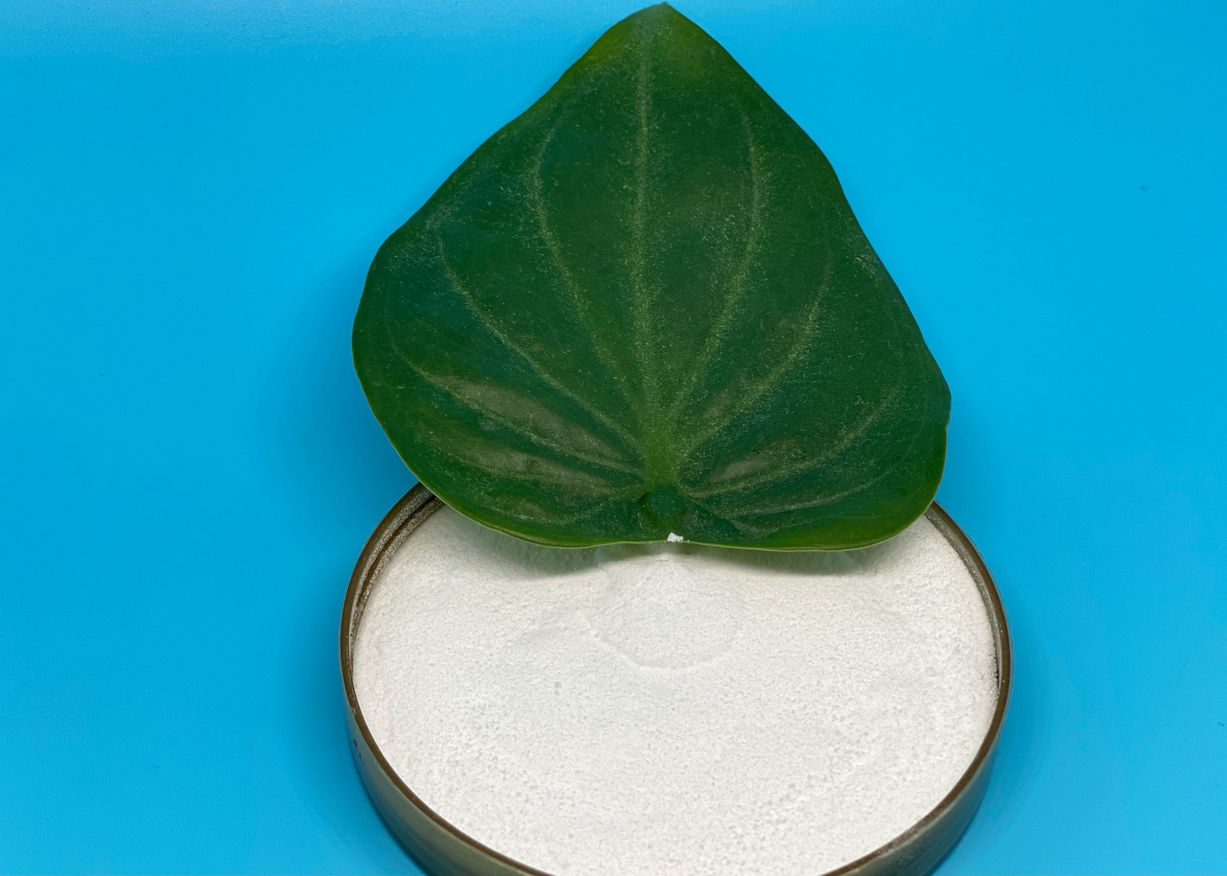 CAS NO 7320-34-5 TKPP Potassium Pyrophosphate Tissue Improver